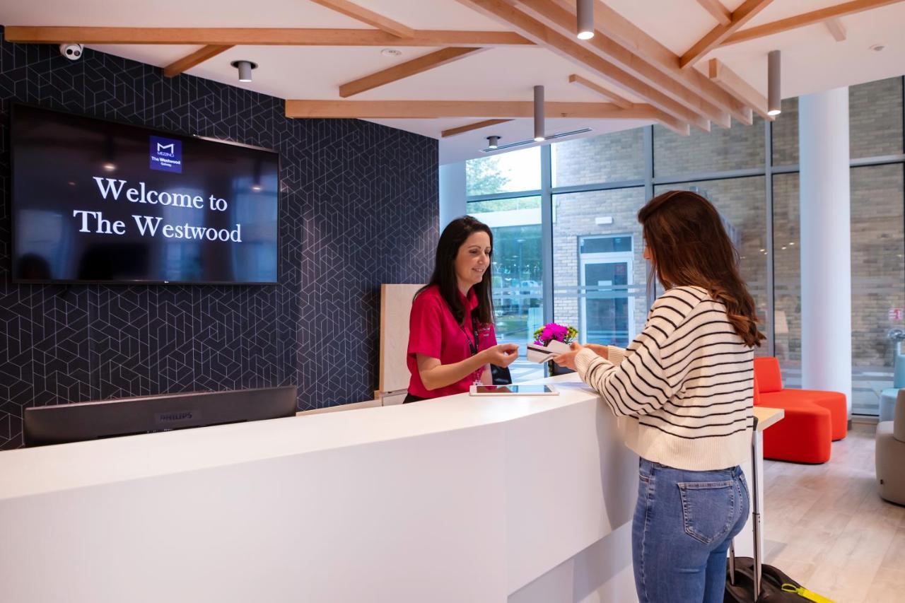 The Westwood Summer Accommodation Galway Ngoại thất bức ảnh